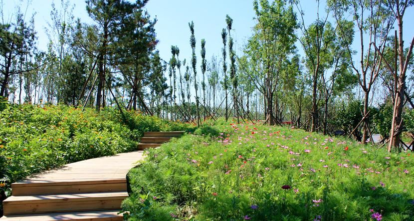 北京·環(huán)渤海高端總部基地北部城市濕地公園